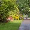 Palmerston gardens Gardens