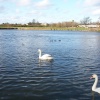 Thames river in Windsor