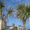 A picture of Teignmouth