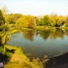 Bennets Water Gardens