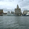 liver buildings on waterfront