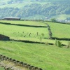 Ancient stone circle in Yorkshire countryside