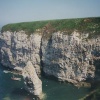 Bird Sanctuary at Flamborough