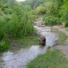 Barton Springs