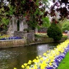 Park by the river