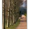 Chatsworth House gardens