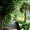 village walk