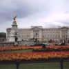 Buckingham Palace