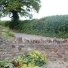 Denny Lane, Chew Magna