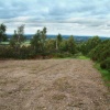 Cannock Chase