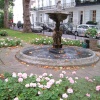 An elegant Chelsea Square