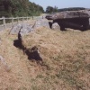 the neolithic long barrow called arthurs stone on Dorstone hill Herefordshire