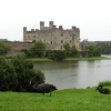 Leeds Castle