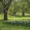 Spring: the picnic