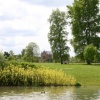 Summer: Keble College from the duckpond
