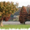 Park View