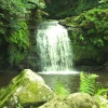 Foss Waterfall, Beck Hole, Goathland, North Yorkshire Moors