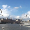 Thames river near London Eye