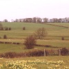 A picture of Wormsley