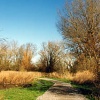Morden Hall Park