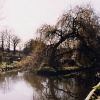 Morden Hall Park