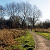 Morden Hall Park