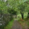 Grasmere, Cumbria. Taken Sept 2004, on self guided tourist walk 'Below Silver Howe'
