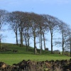 Hartshorne, Derbyshire - Hilltop nr. Manor Farm