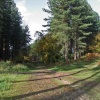 Cannock Chase, Staffordshire