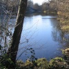Calke Park Boxing Day 2004