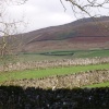 The Yorkshire Dales surrounding Rylstone