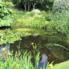 Dorothy Clive Garden, Staffordshire