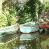 Boats of the River Wey, Guildford, Surrey