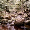 Burbage Brook, Padley Gorge