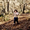 In Padley Wood, near Nether Padley and Grindleford