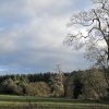 Robin Wood, near Ticknall