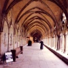 Salisbury Cathedral Cloisters
