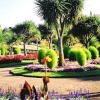 Sub tropical gardens in Torquay, Devon