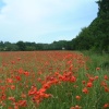 Finchampstead, Berkshire
