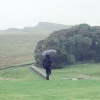 View of Hadrian's Wall at the ruins of Housesteads