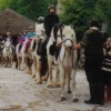 Riding in the Dales