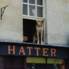 The Hatter of Bath