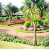 The Sub Tropical Gardens at Torquay