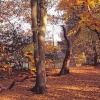 Royden Woods, Frankby, Wirral