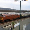 Class 52 No.1015 arrives at Weston-super-Mare station with a charter special on 27th January 2005