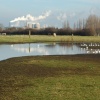 Sugar factory, horses and birds by Newark