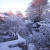 Snow at The Rise