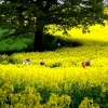 Abberley, Worcestershire
