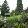 Chalice Garden