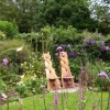 Chalice Garden, Glastonbury